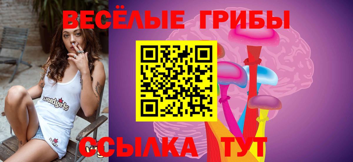 Псилоцибиновые грибы Cubensis  Вход с VPN  Кириши 